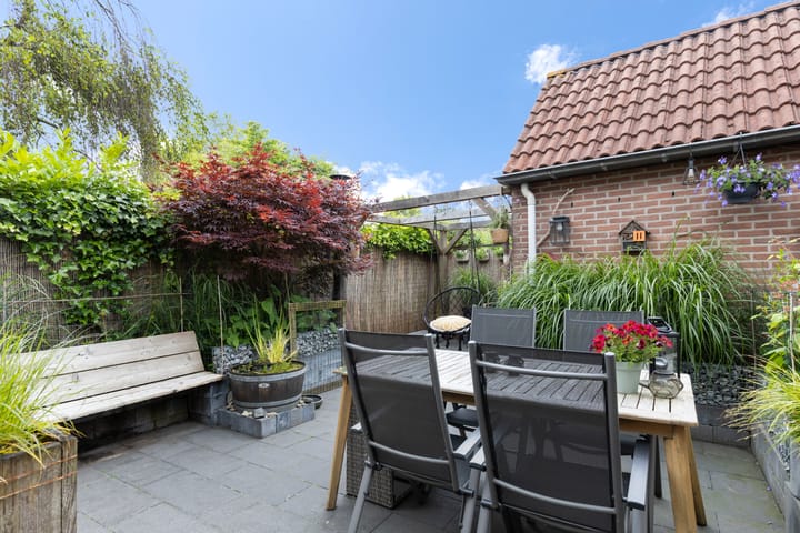 Foto 32 van Harpij 6