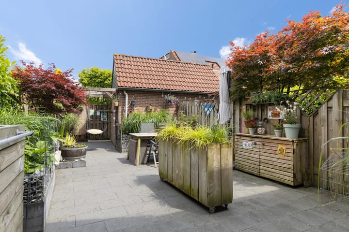 Foto 33 van Harpij 6