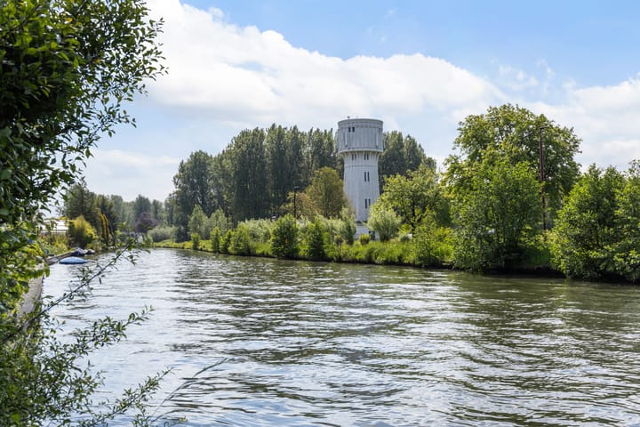 Foto 37 van Harpij 6