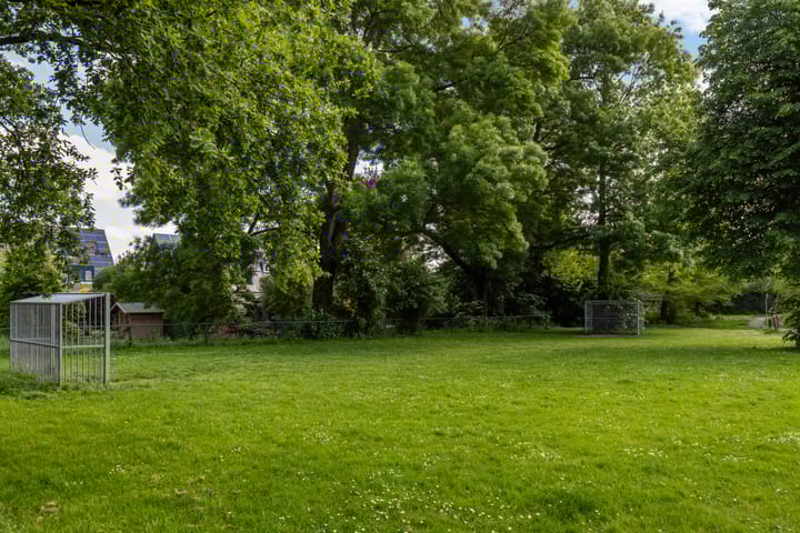 Foto 38 van Harpij 6