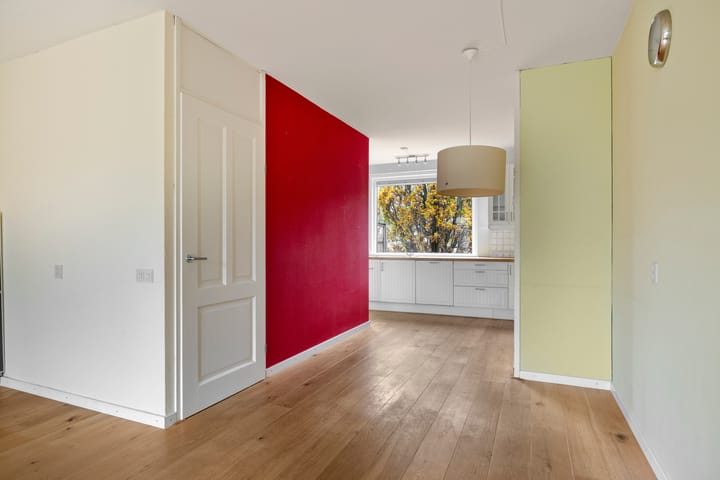 Photo 13 of Zwaan 77