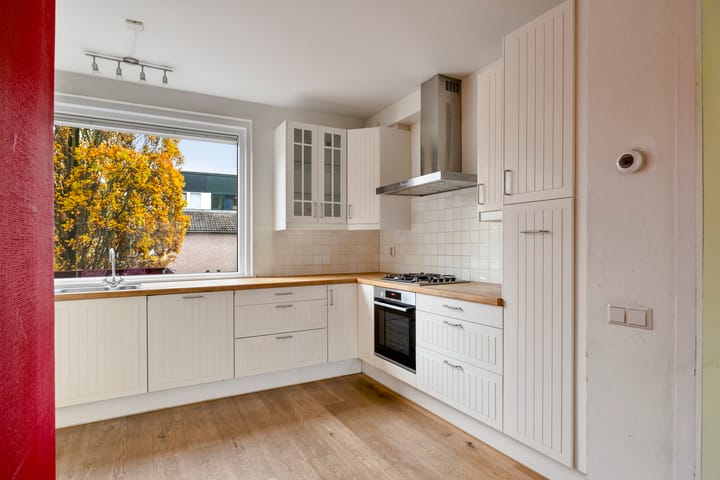 Photo 14 of Zwaan 77