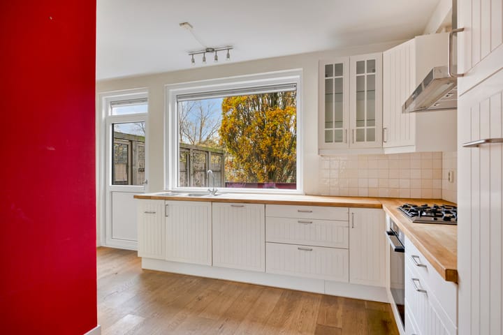 Photo 15 of Zwaan 77