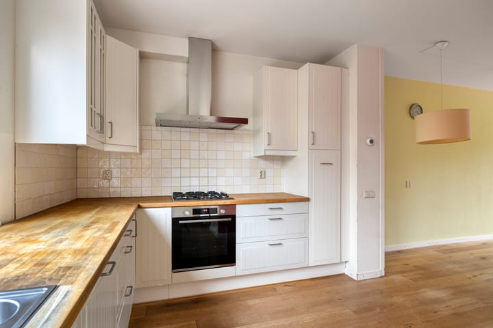 Photo 16 of Zwaan 77