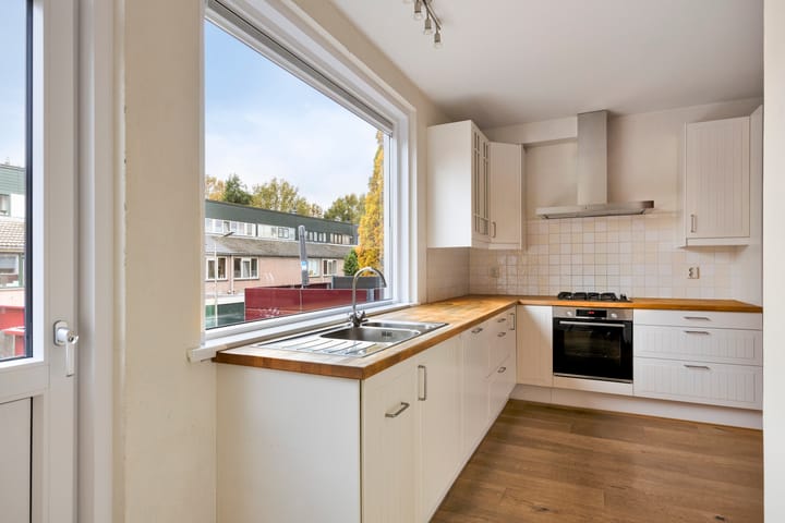 Photo 17 of Zwaan 77