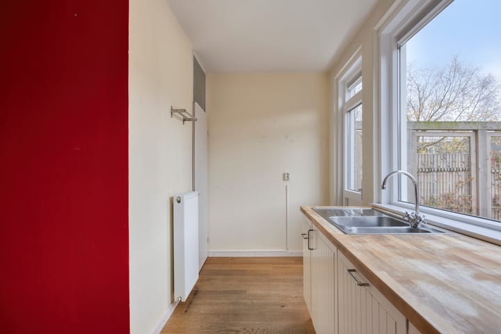 Photo 18 of Zwaan 77