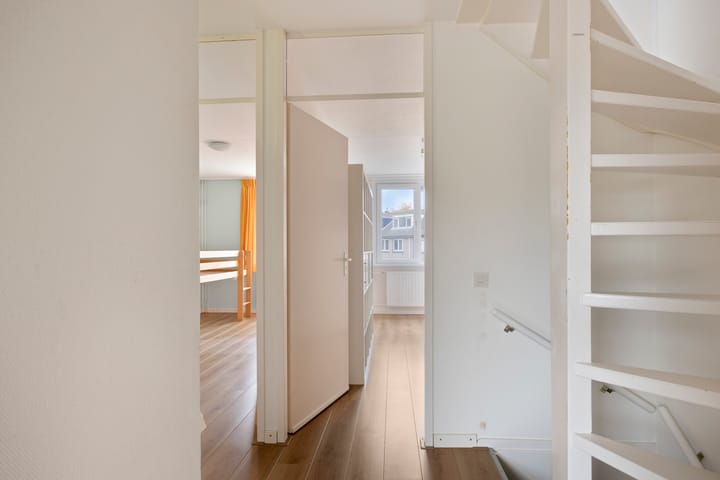 Photo 23 of Zwaan 77