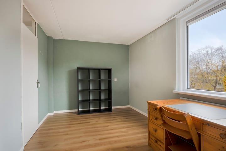 Photo 25 of Zwaan 77