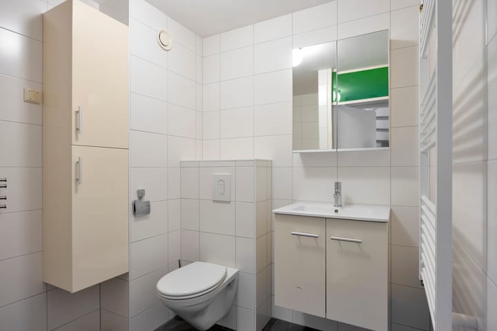 Photo 26 of Zwaan 77