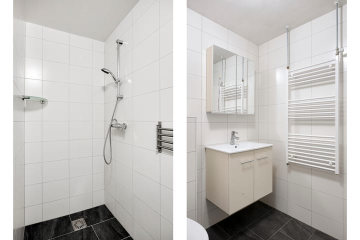 Photo 27 of Zwaan 77