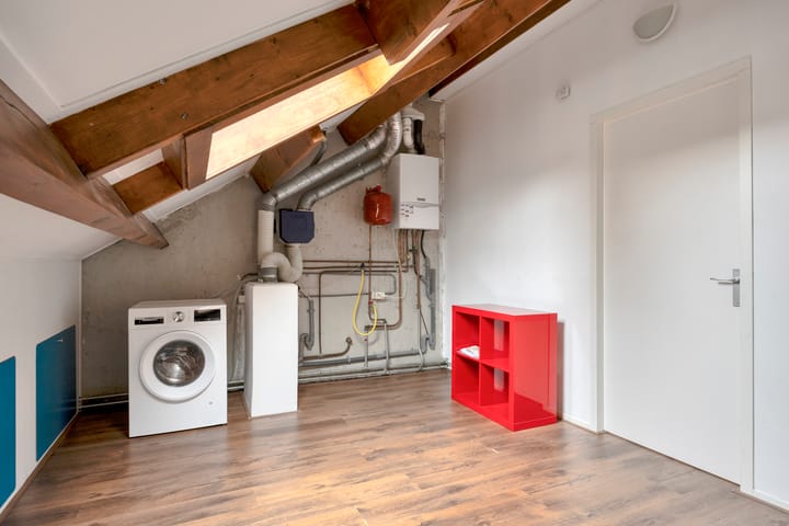 Photo 32 of Zwaan 77