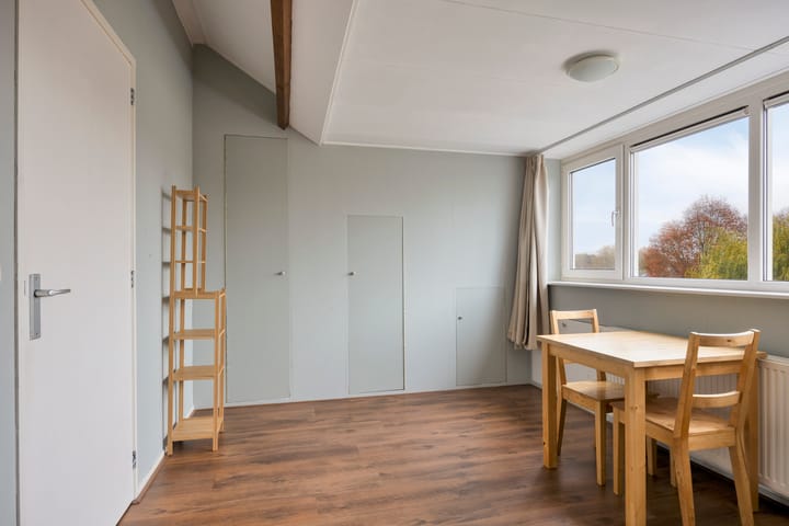 Photo 34 of Zwaan 77