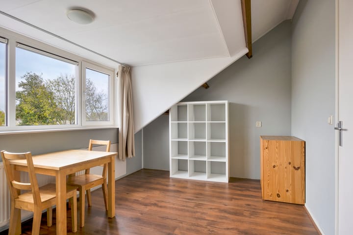 Photo 35 of Zwaan 77