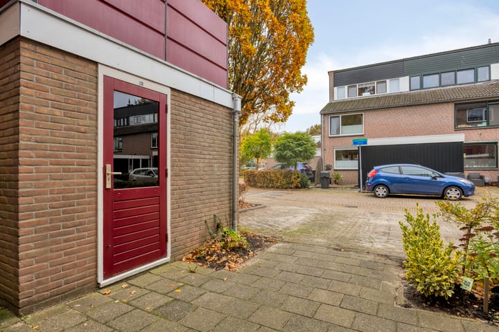 Photo 36 of Zwaan 77