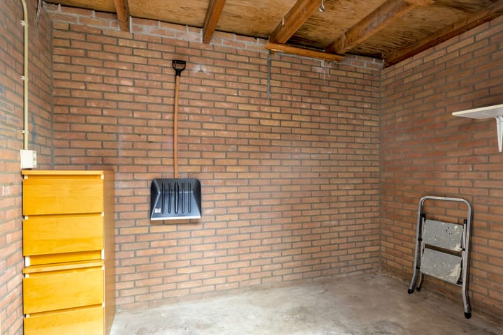 Photo 37 of Zwaan 77