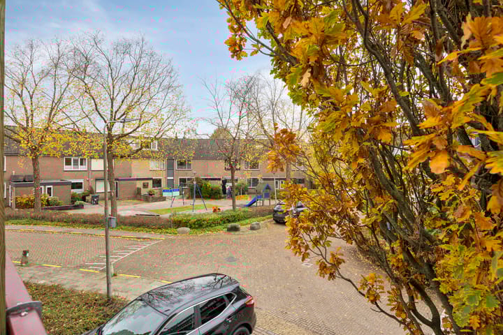 Photo 39 of Zwaan 77