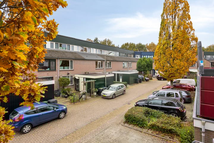 Photo 40 of Zwaan 77