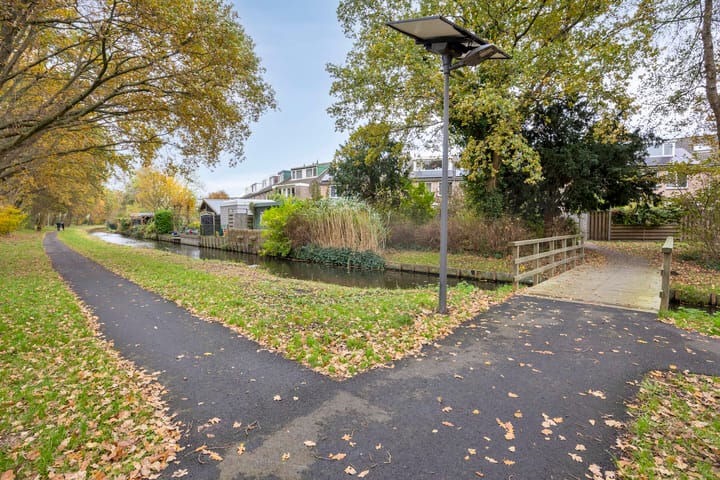 Photo 41 of Zwaan 77