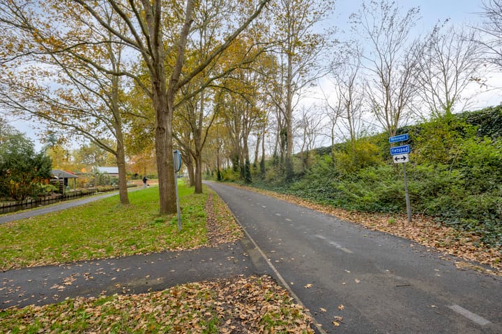 Photo 42 of Zwaan 77