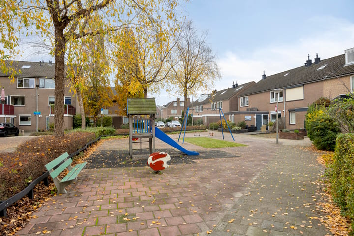 Photo 43 of Zwaan 77