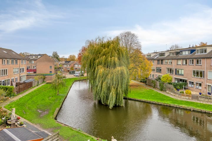 Photo 44 of Zwaan 77