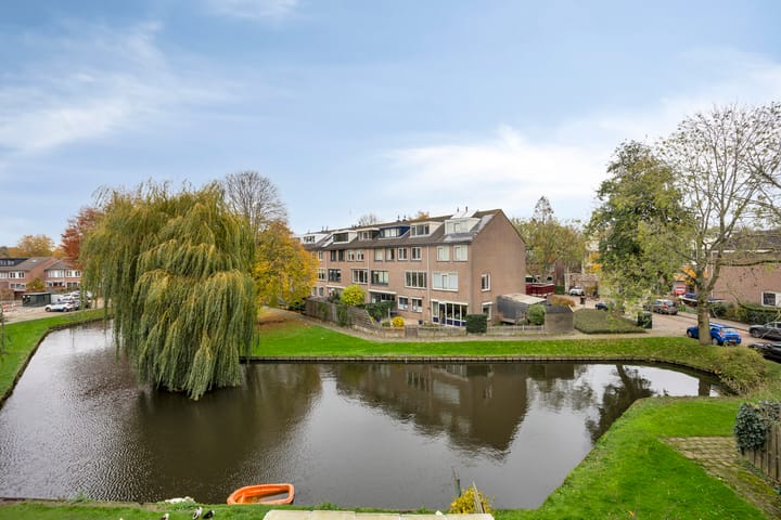 Photo 45 of Zwaan 77