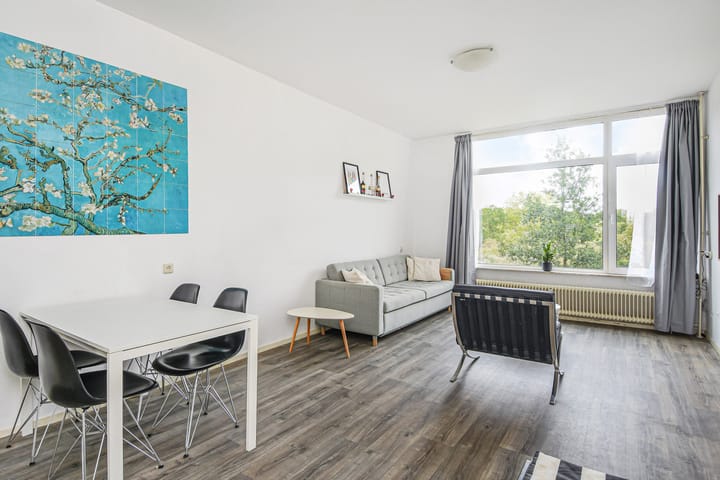 Foto 6 van Van Alkemadelaan 1188