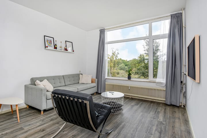 Foto 7 van Van Alkemadelaan 1188