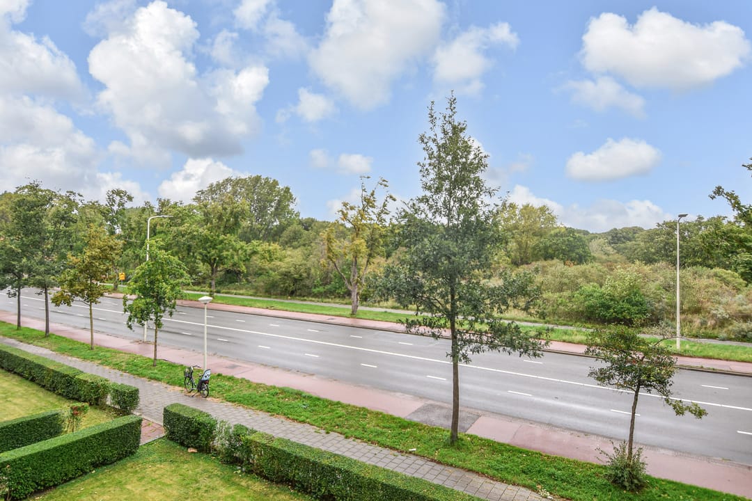 Foto 17 van Van Alkemadelaan 1188