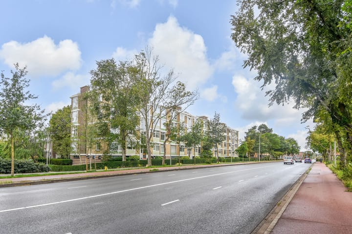 Foto 34 van Van Alkemadelaan 1188