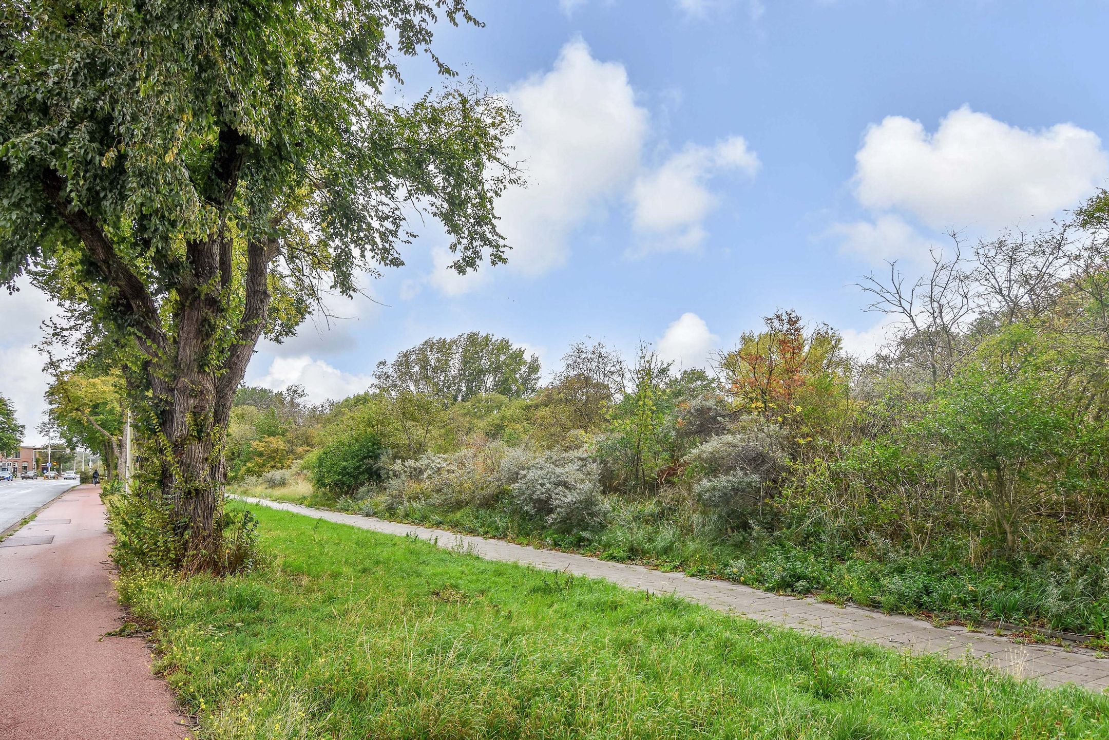 Foto 39 van Van Alkemadelaan 1188