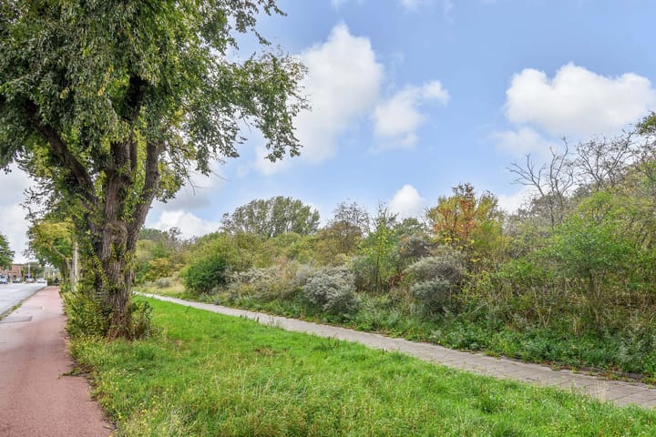 Foto 39 van Van Alkemadelaan 1188