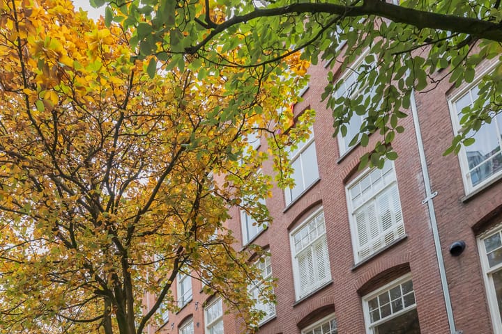 Photo 4 of Van Ostadestraat 146-3V