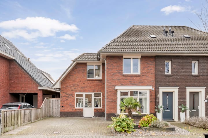 Foto 2 van Paardebloem 15