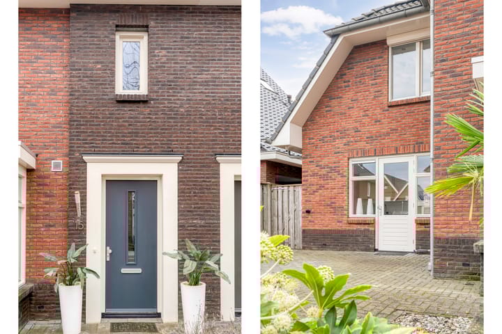 Foto 3 van Paardebloem 15