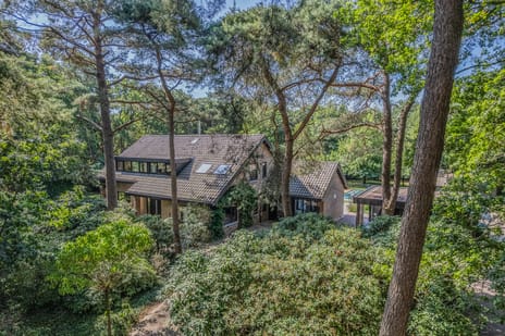 undefined main image