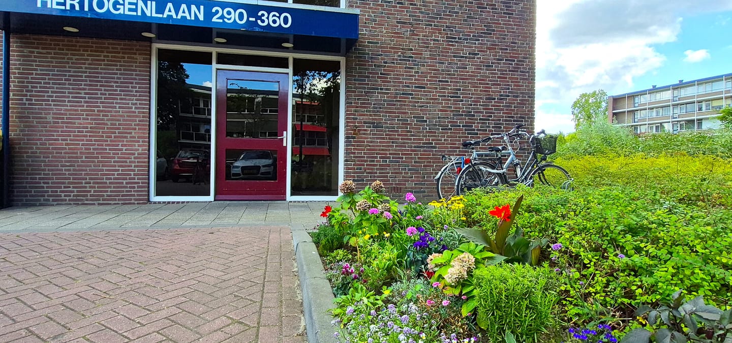 Foto 19 van Hertogenlaan 336