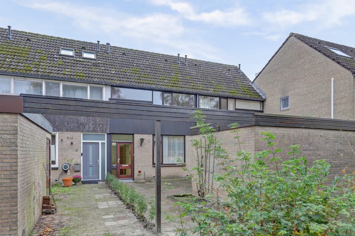 Photo 1 of Scorpius 14