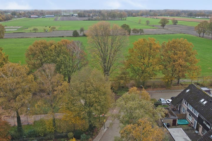 Photo 4 of Scorpius 14