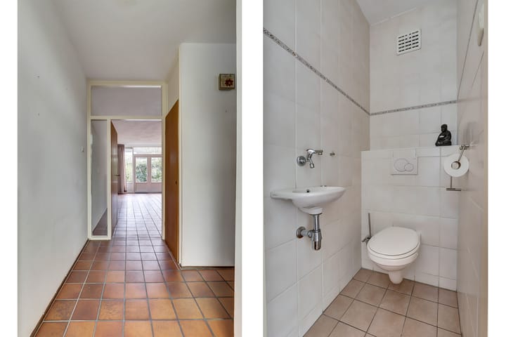 Photo 6 of Scorpius 14