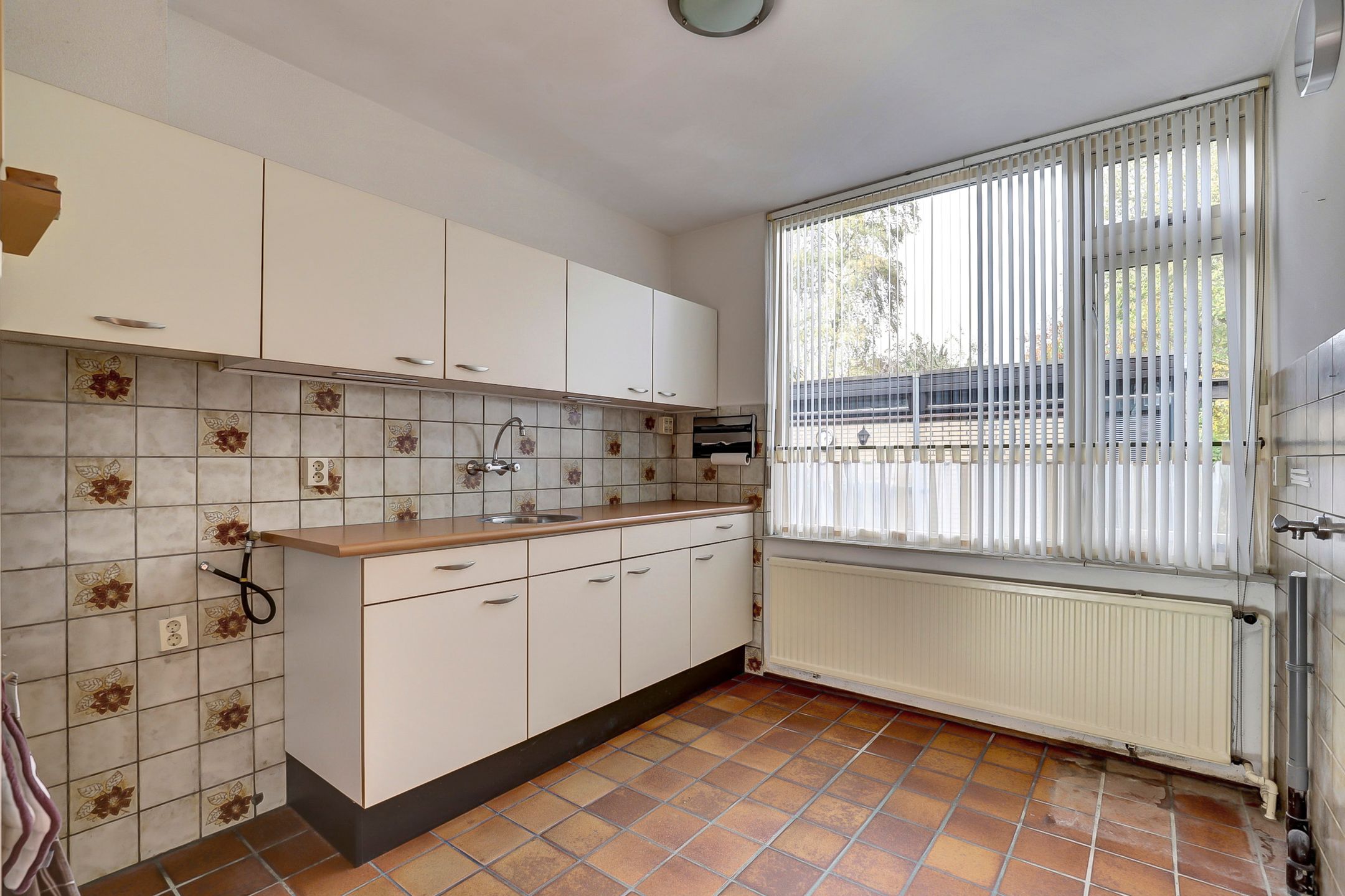 Foto 9 van Scorpius 14