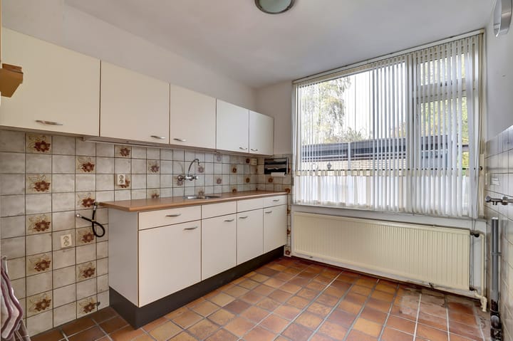 Photo 9 of Scorpius 14