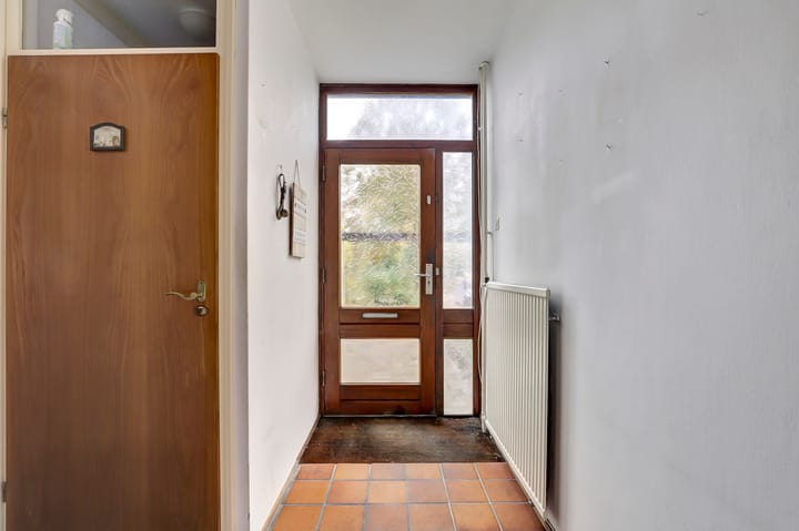 Photo 5 of Scorpius 14