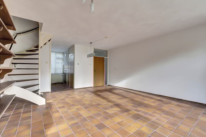 Photo 12 of Scorpius 14