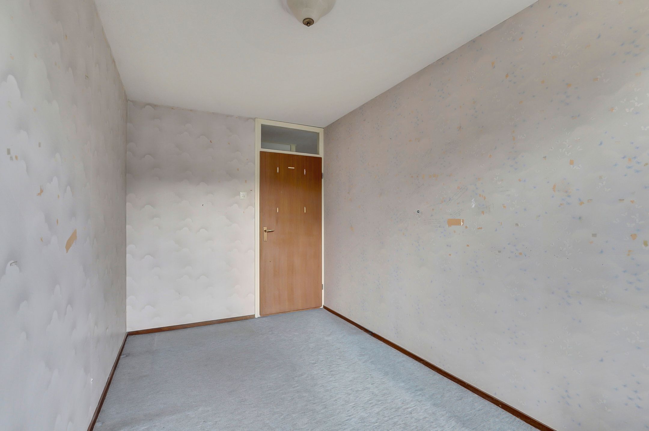 Foto 18 van Scorpius 14