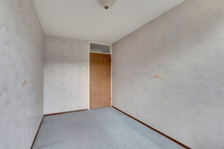 Photo 18 of Scorpius 14