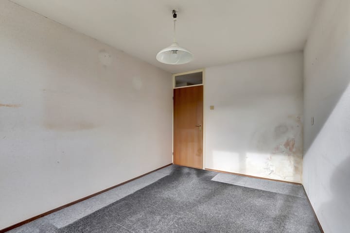 Photo 22 of Scorpius 14