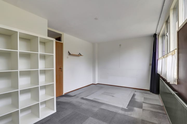 Photo 16 of Scorpius 14