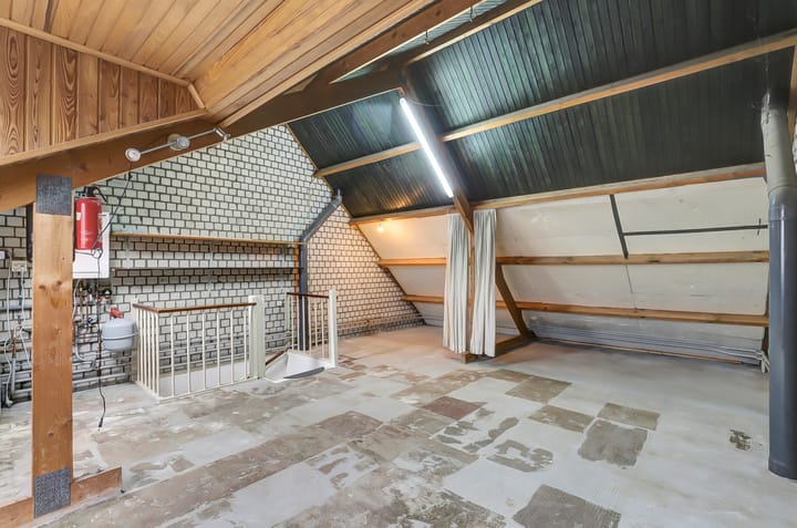 Photo 27 of Scorpius 14