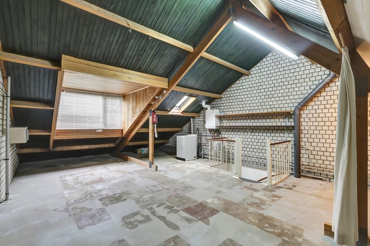 Photo 28 of Scorpius 14